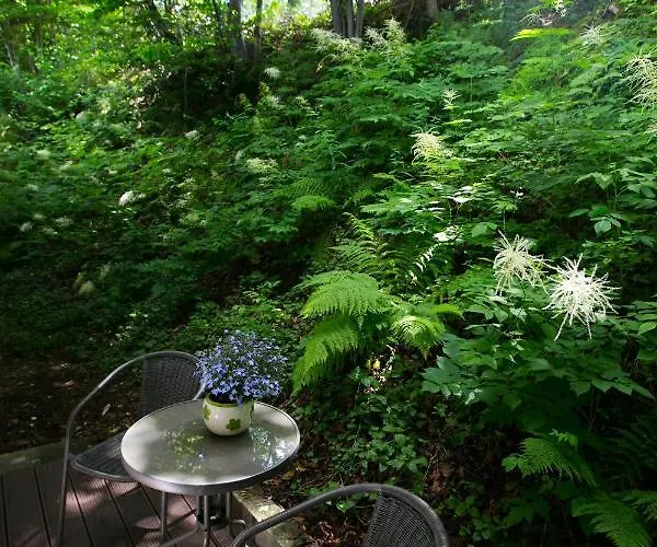 Rudy Lis שצ'צ'ירק